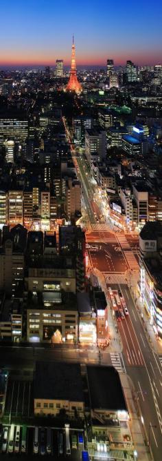 
                    
                        Tokyo, Japan - Beautiful Tokyo Tower in the distance
                    
                