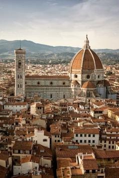 
                    
                        Places in Florence
                    
                