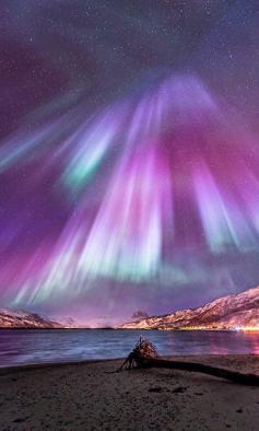 
                    
                        Colorful Aurora Night, Northern Norway
                    
                