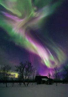 
                    
                        Aurora Boreal.
                    
                
