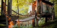 
                    
                        14 Mountain Cabins And Treehouses In Georgia You Won’t Believe
                    
                