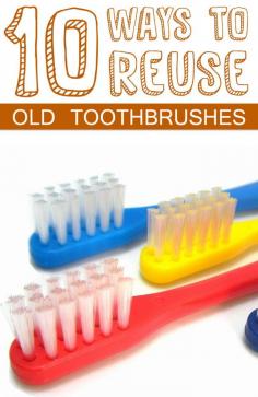 
                    
                        10 Ways to Reuse Old Toothbrushes
                    
                