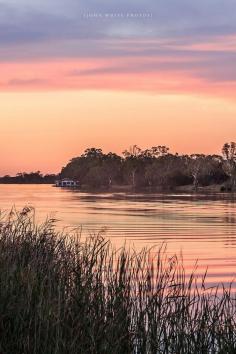 
                    
                        Houseboat among the gumtrees  at sunset, Murray River South Australia by John White Photos
                    
                