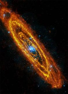
                    
                        Andromeda galaxy black hole
                    
                