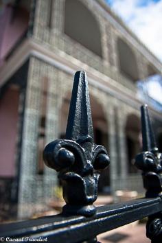 
                    
                        A few reasons to love New Orleans- The Garden District  www.casualtraveli...
                    
                
