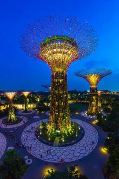 
                    
                        Gardens at the Bay, Singapore - These outstanding botanical gardens light up in the night in Singapore.
                    
                