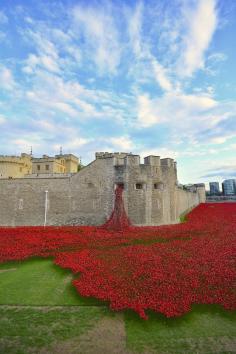 
                    
                        Travel Memory Stunning Installation of 888,246 Ceramic Poppies Honors Lives Lost in WWI - My Modern Met
                    
                