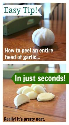
                    
                        One simple trick that allows you to peel a whole head of garlic in under a minute! Everyone should know about this!
                    
                