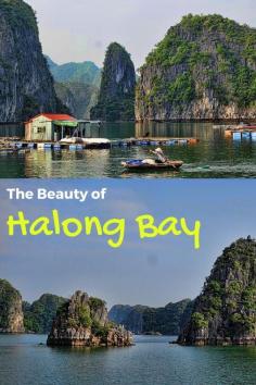 
                    
                        Halong Bay in Northern Vietnam is synonymous with natural beauty. A simple uttering of the famous name will instantly conjure up images of striking limestone monoliths, floating fishing villages and traditional junk boats cruising amongst the Karst landscape. #vietnam #halongbay #beautifuldestination #UNESCO
                    
                