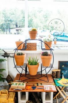 
                    
                        Plant holder - day tripping: a visit to ojai / sfgirlbybay
                    
                