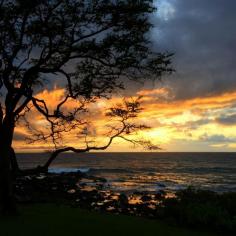 
                    
                        Maui Sunset...
                    
                