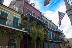 
                    
                        A few reasons to love New Orleans- The French Quarter  www.casualtraveli...
                    
                