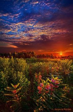 
                    
                        More of Wisconsin from Phil Koch (Heaven on Earth Flickr | Flickr - Photo Sharing!)
                    
                