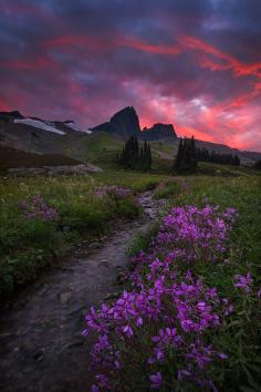 
                    
                        Garibaldi Park in British Columbia, Canada
                    
                