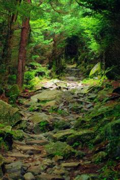 
                    
                        Great Smoky Mountains National Park hiking trail in North Carolina. Best hikes in the Smokies: www.romanticashev...
                    
                