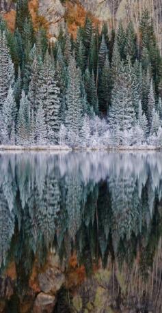 
                    
                        Bear Lake in Rocky Mountain National Park, Colorado
                    
                
