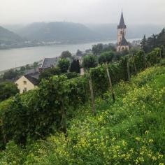 
                    
                        Romantic Rhine Travel: On and Off the Beaten Path
                    
                