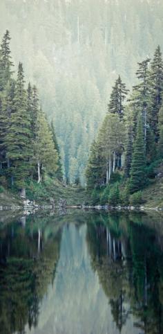 
                    
                        Mirror reflection on the High Divide of Olympic National Park in Washington • photo: Jayson McIvor (photosbysomeguy)
                    
                