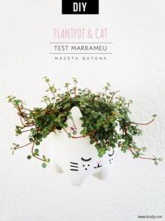 
                    
                        diy cat planter bottle upcycle earth day
                    
                