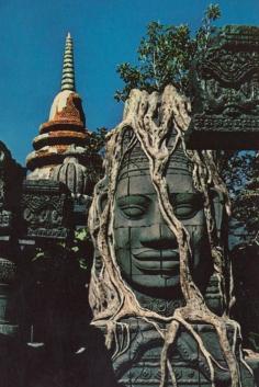 
                    
                        Angkor, Cambodia.
                    
                