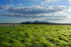 
                    
                        Tyrella Beach, County Down | Community Post: 25 Lovely Photographs Of Ireland To Celebrate The Feast Of Saint Patrick
                    
                