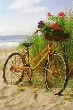 
                    
                        This could be good for an Australian  Christmas!  Beach Bike was on Pinterest and it has given me some ideas for Christmas 2013!
                    
                