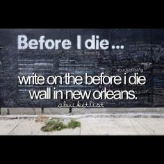 
                    
                        the "Before I die" wall.  New Orleans, La.
                    
                