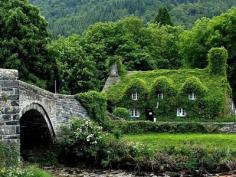 
                    
                        Ivy-covered houses to add a breath of fresh air to your morning. They look right out of storybooks.
                    
                
