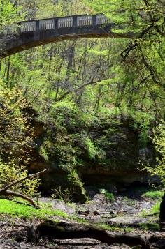 
                    
                        Illinois Matthiessen State Park by Grace Ray on 500px
                    
                