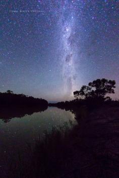 
                    
                        Night, Murray River South Australia by John White Photos
                    
                