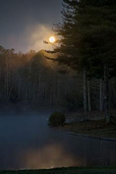 
                    
                        Misty Moon on Stone’s Lake, California
                    
                