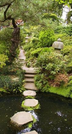 
                    
                        Steps Across a Shallow, Hidden Pond....
                    
                