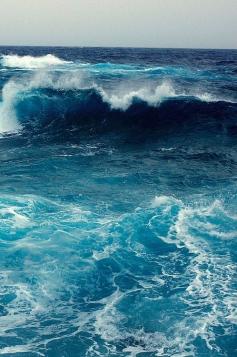 
                    
                        The sea called my soul.... And I answered with all my heart
                    
                