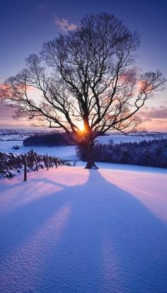 
                    
                        Pristine sunset in Eshton, England
                    
                