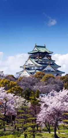 
                    
                        Amazing View of Osaka Castle with Sakura Blossom in Osaka, Japan   |  19 Reasons to Love Japan, an Unforgettable Travel Destination
                    
                