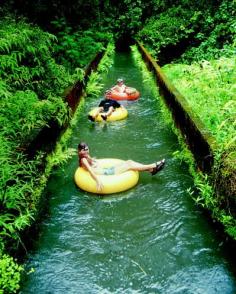 
                    
                        KAUAI - inner tubing tour through the canals and tunnels of an old sugar plantation
                    
                