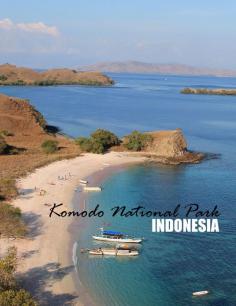 
                    
                        Komodo Dragons, a pink beach and amazing scenery are all found in Komodo National Park, Indonesia
                    
                