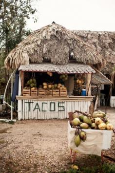 
                    
                        tailofwood: Tulum, Mexico
                    
                
