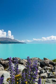 
                    
                        Blue sea and sky with cotton clouds
                    
                