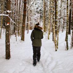 
                    
                        Repovesi National Park, Kouvola, Finland - Hiking through the snowy...
                    
                