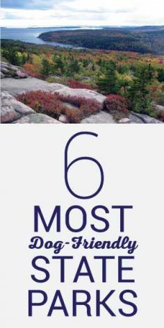 
                    
                        6 Most Dog Friendly State Parks
                    
                