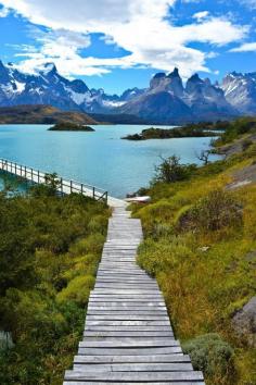 
                    
                        PATAGONIA, CHILE - Torres del Paine National Park.
                    
                