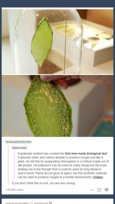 This is amazing. Manmade plant