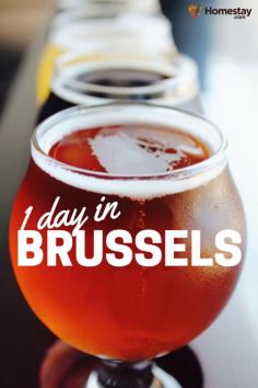 
                    
                        See the best of Brussels in one day - a practical travel guide to explore Brussels in Belgium from 9:30am to 9pm.
                    
                