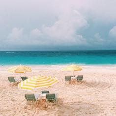 
                    
                        Coral Beach Club in Bermuda
                    
                