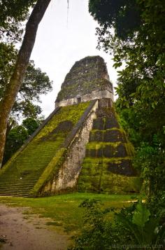 
                    
                        Exploring Tikal | Getting Down and Dirty in The Jungle
                    
                