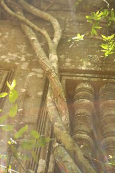
                    
                        Two Days in Angkor Wat - Photos from Beng Mealea
                    
                
