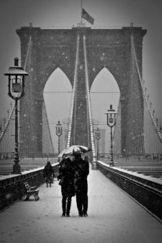 
                    
                        The Snowy Brooklyn Bridge
                    
                