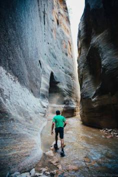 
                    
                        The Narrows, Washington County, Utah - Taken while #hiking the...
                    
                