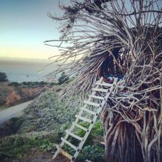 
                    
                        The Human Nest in Big Sur, California. So cool!
                    
                